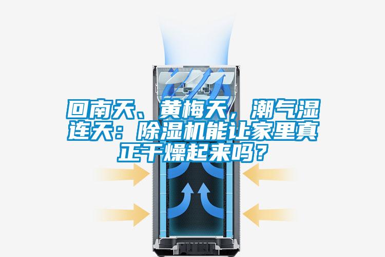 回南天、黄梅天，潮气湿连天：草莓视频APP在线观看能让家里真正干燥起来吗？