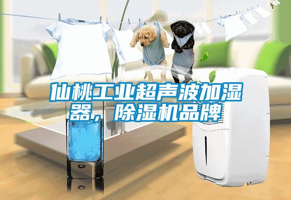 仙桃工业超声波加湿器，草莓视频APP在线观看品牌