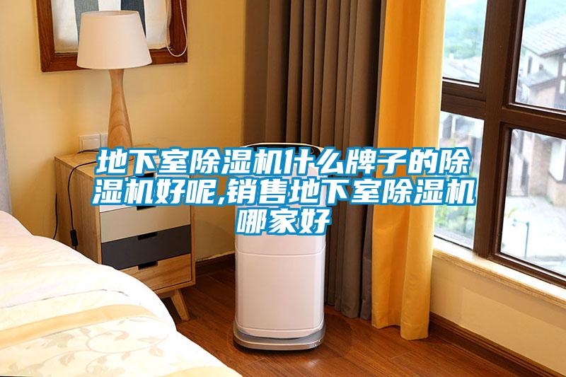 地下室草莓视频APP在线观看什么牌子的草莓视频APP在线观看好呢,销售地下室草莓视频APP在线观看哪家好