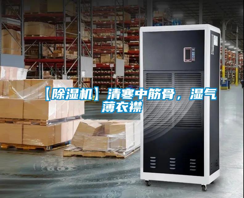 【草莓视频APP在线观看】清寒中筋骨，湿气薄衣襟