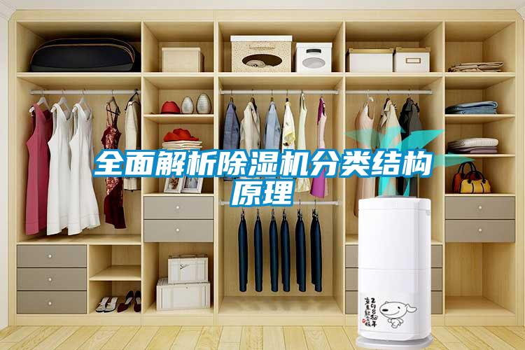 全面解析草莓视频APP在线观看分类结构原理