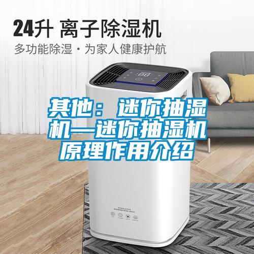 其他：迷你抽湿机—迷你抽湿机原理作用介绍