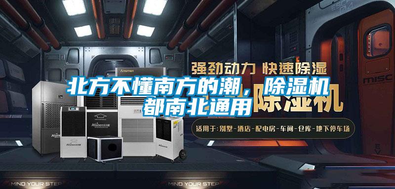 北方不懂南方的潮，草莓视频APP在线观看都南北通用