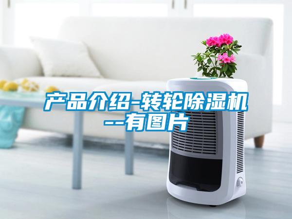 产品介绍-转轮草莓视频APP在线观看--有图片