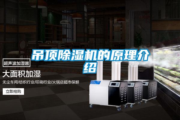 吊顶草莓视频APP在线观看的原理介绍
