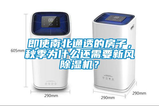 即使南北通透的房子，秋季为什么还需要新风草莓视频APP在线观看？