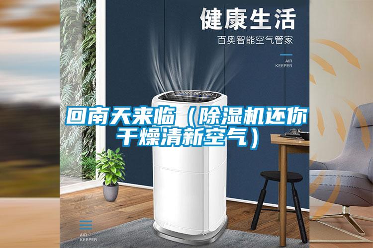 回南天来临（草莓视频APP在线观看还你干燥清新空气）