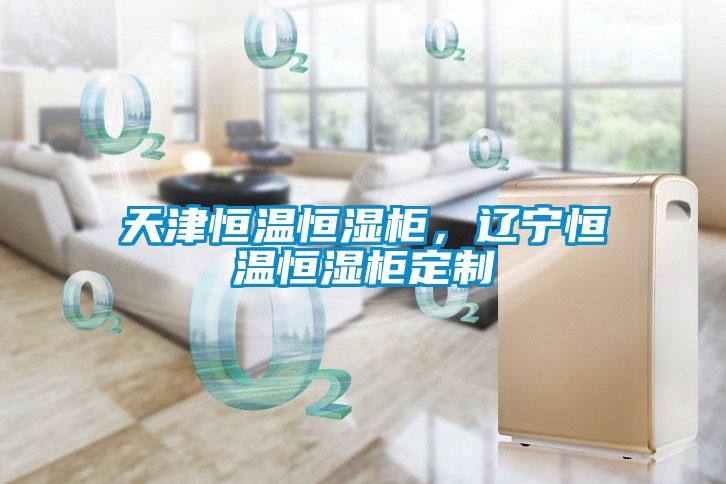 天津恒温恒湿柜，辽宁恒温恒湿柜定制