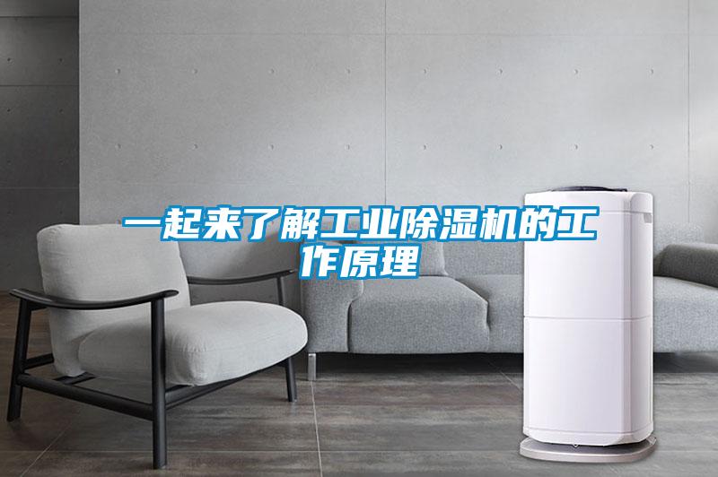 一起来了解工业草莓视频APP在线观看的工作原理