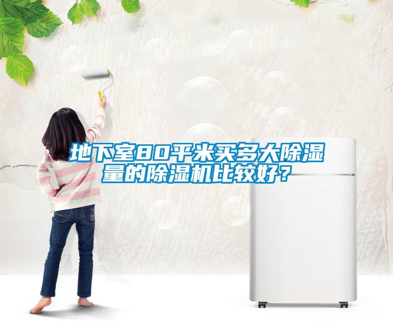 地下室80平米买多大除湿量的草莓视频APP在线观看比较好？