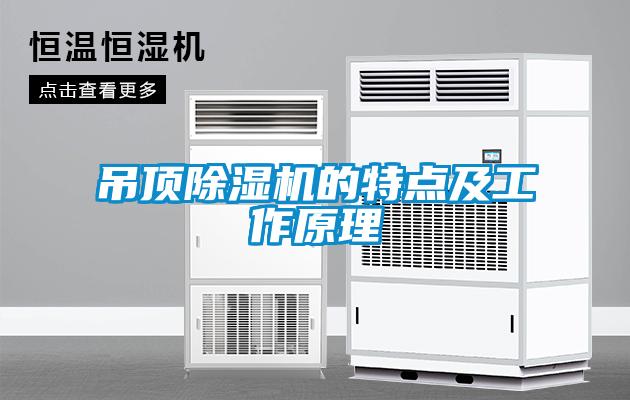 吊顶草莓视频APP在线观看的特点及工作原理