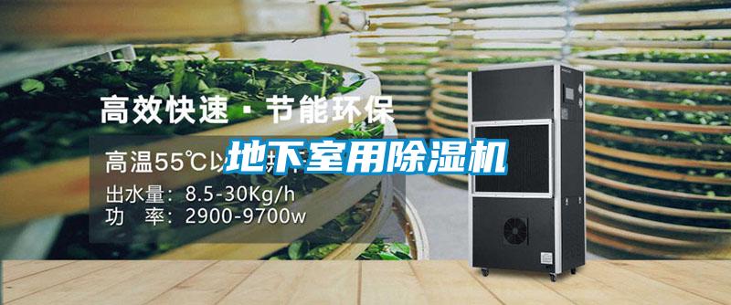 地下室用草莓视频APP在线观看