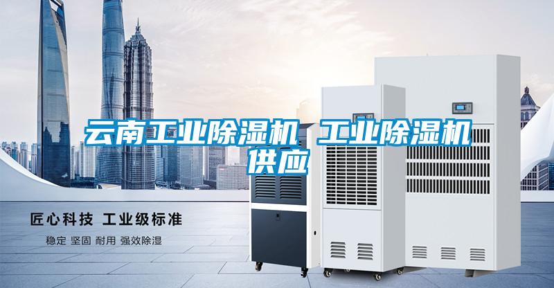 云南工业草莓视频APP在线观看 工业草莓视频APP在线观看供应