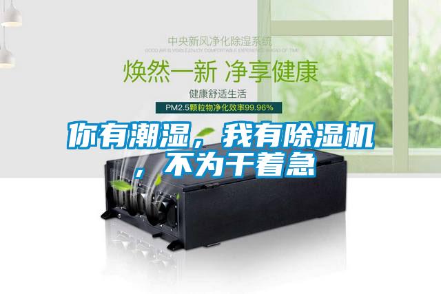 你有潮湿，我有草莓视频APP在线观看，不为干着急
