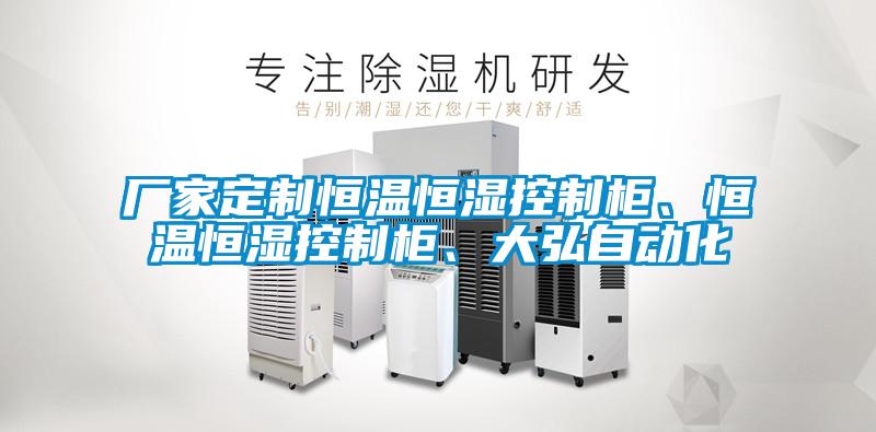 厂家定制恒温恒湿控制柜、恒温恒湿控制柜、大弘自动化