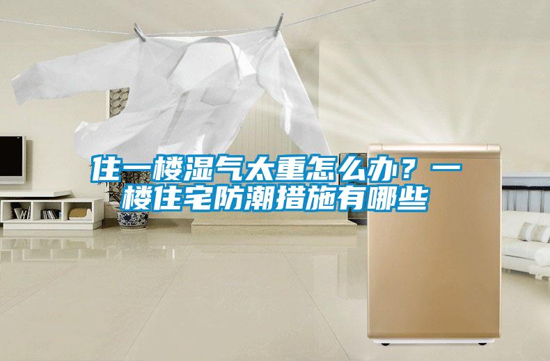 住一楼湿气太重怎么办？一楼住宅防潮措施有哪些