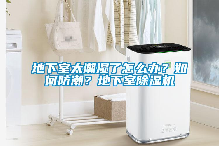 地下室太潮湿了怎么办？如何防潮？地下室草莓视频APP在线观看