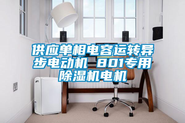 供应单相电容运转异步电动机 801专用草莓视频APP在线观看电机