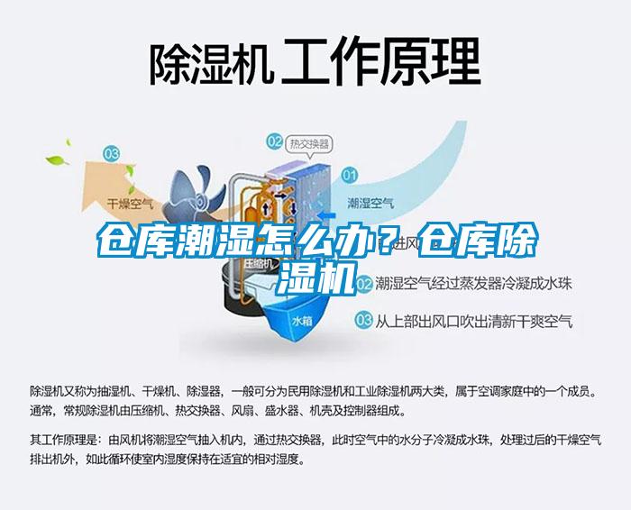 仓库潮湿怎么办？仓库草莓视频APP在线观看