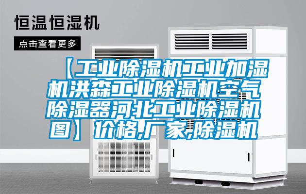 【工业草莓视频APP在线观看工业加湿机洪森工业草莓视频APP在线观看空气除湿器河北工业草莓视频APP在线观看图】价格,厂家,草莓视频APP在线观看