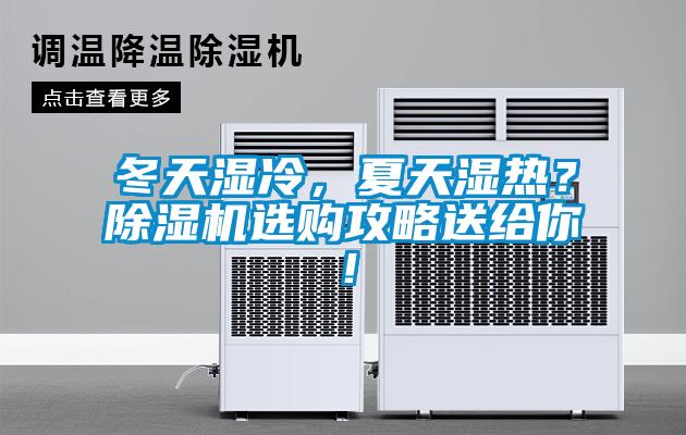 冬天湿冷，夏天湿热？草莓视频APP在线观看选购攻略送给你！