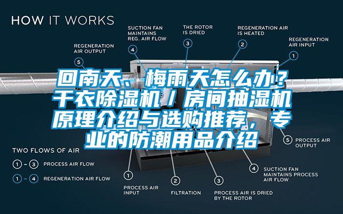 回南天、梅雨天怎么办？干衣草莓视频APP在线观看／房间抽湿机原理介绍与选购推荐，专业的防潮用品介绍