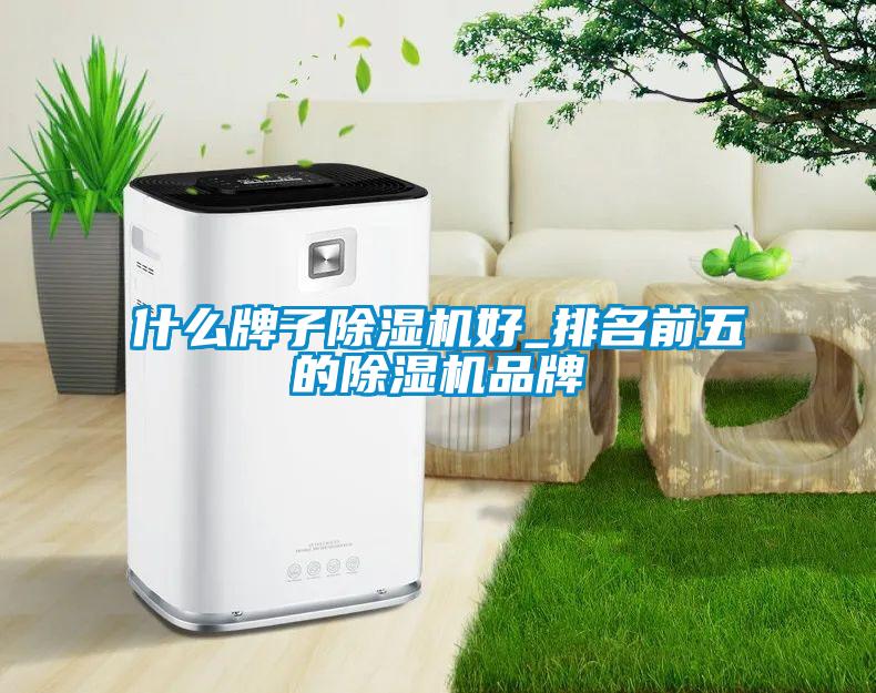 什么牌子草莓视频APP在线观看好_排名前五的草莓视频APP在线观看品牌