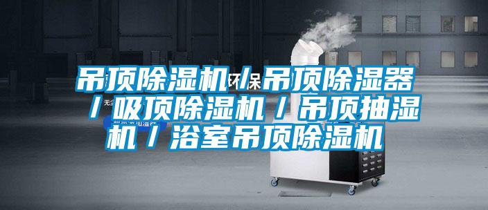 吊顶草莓视频APP在线观看／吊顶除湿器／吸顶草莓视频APP在线观看／吊顶抽湿机／浴室吊顶草莓视频APP在线观看