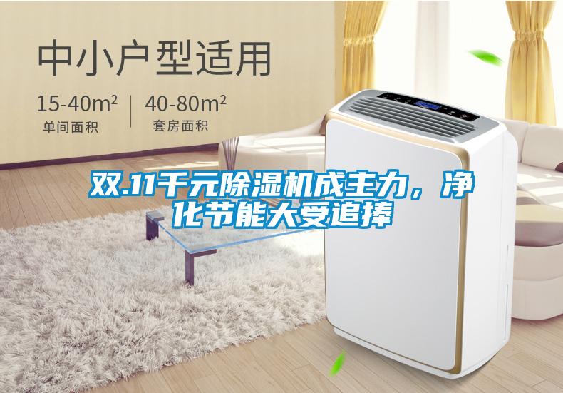 双.11千元草莓视频APP在线观看成主力，净化节能大受追捧