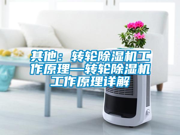 其他：转轮草莓视频APP在线观看工作原理—转轮草莓视频APP在线观看工作原理详解