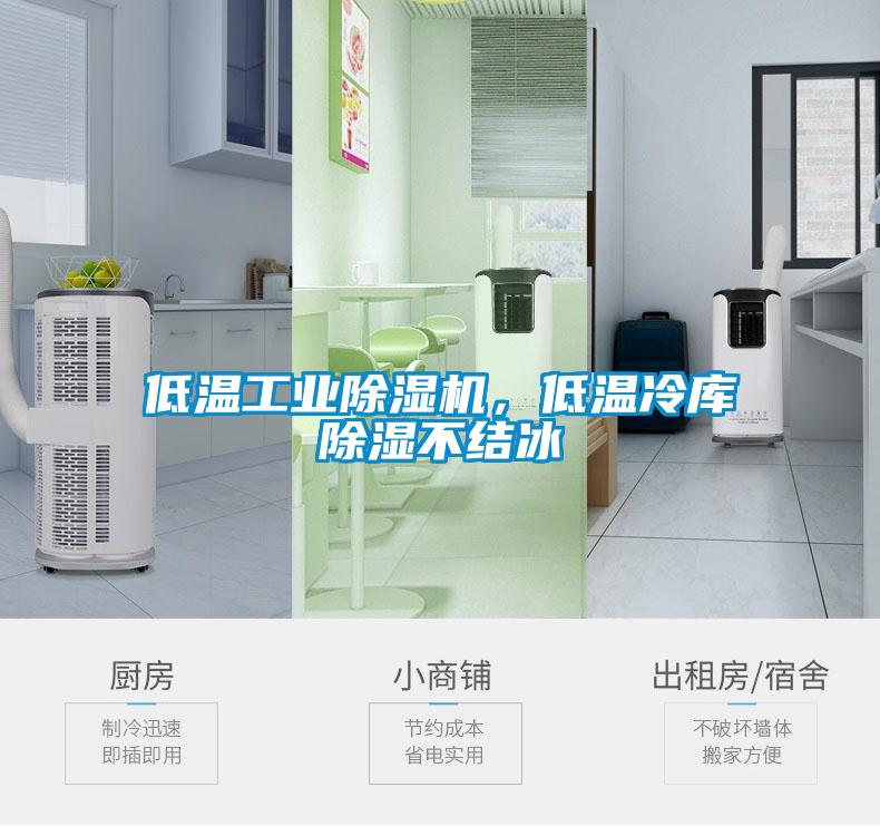 低温工业草莓视频APP在线观看，低温冷库除湿不结冰