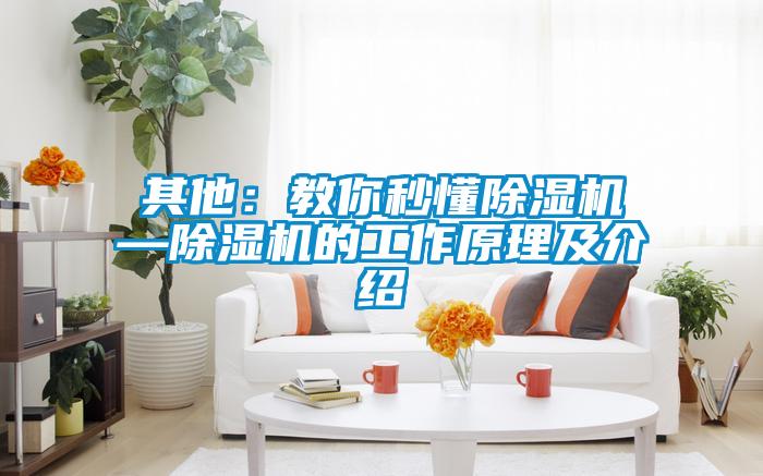 其他：教你秒懂草莓视频APP在线观看—草莓视频APP在线观看的工作原理及介绍