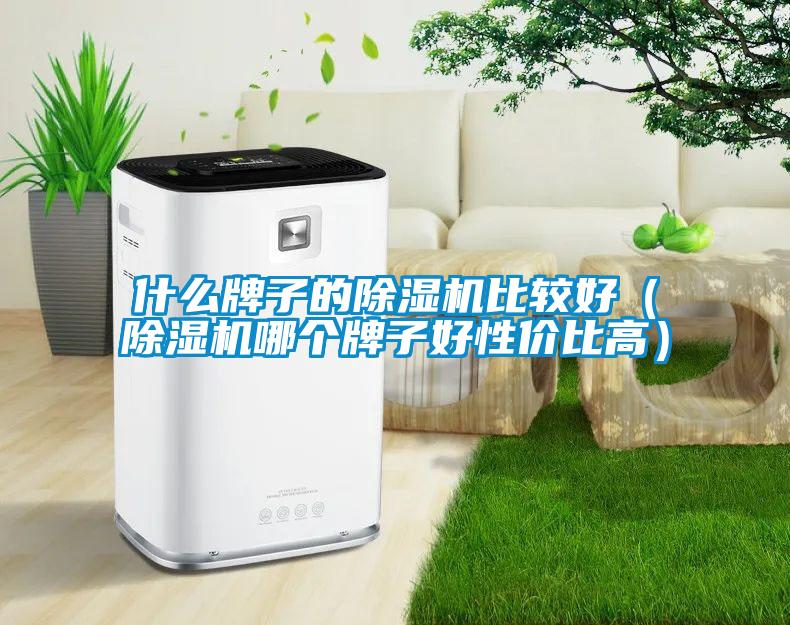 什么牌子的草莓视频APP在线观看比较好（草莓视频APP在线观看哪个牌子好性价比高）