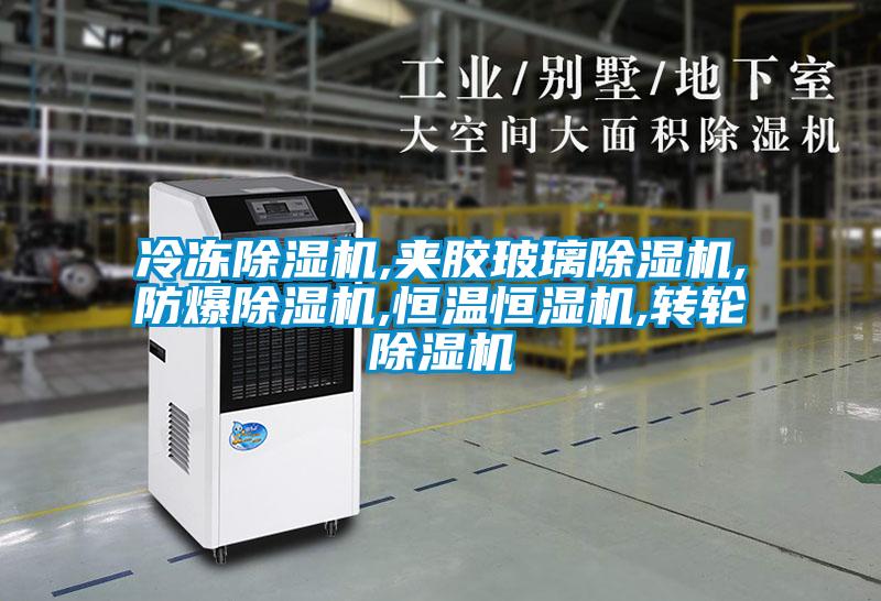 冷冻草莓视频APP在线观看,夹胶玻璃草莓视频APP在线观看,防爆草莓视频APP在线观看,恒温恒湿机,转轮草莓视频APP在线观看