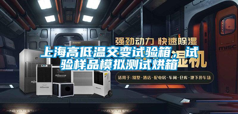 上海高低温交变试验箱，试验样品模拟测试烘箱