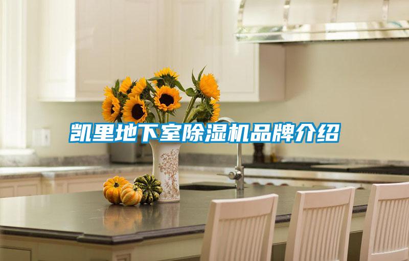凯里地下室草莓视频APP在线观看品牌介绍