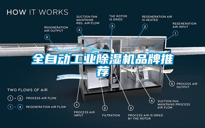 全自动工业草莓视频APP在线观看品牌推荐