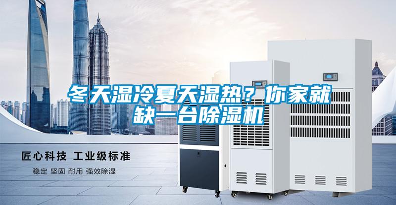 冬天湿冷夏天湿热？你家就缺一台草莓视频APP在线观看