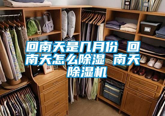 回南天是几月份 回南天怎么除湿 南天 草莓视频APP在线观看