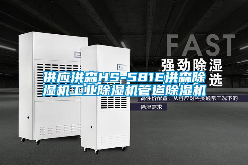 供应洪森HS-581E洪森草莓视频APP在线观看工业草莓视频APP在线观看管道草莓视频APP在线观看