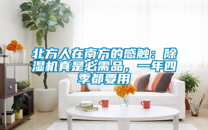 北方人在南方的感触：草莓视频APP在线观看真是必需品，一年四季都要用