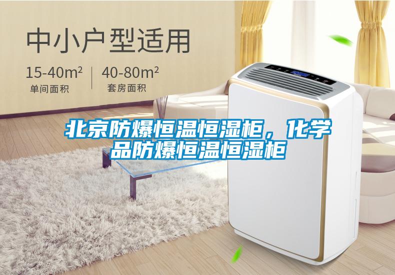 北京防爆恒温恒湿柜，化学品防爆恒温恒湿柜