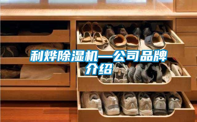 利烨草莓视频APP在线观看—公司品牌介绍