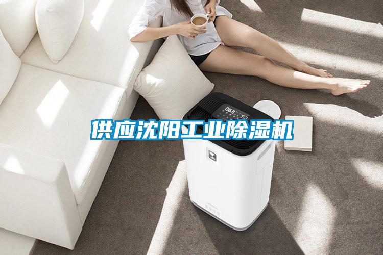 供应沈阳工业草莓视频APP在线观看