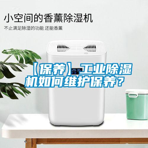 【保养】工业草莓视频APP在线观看如何维护保养？