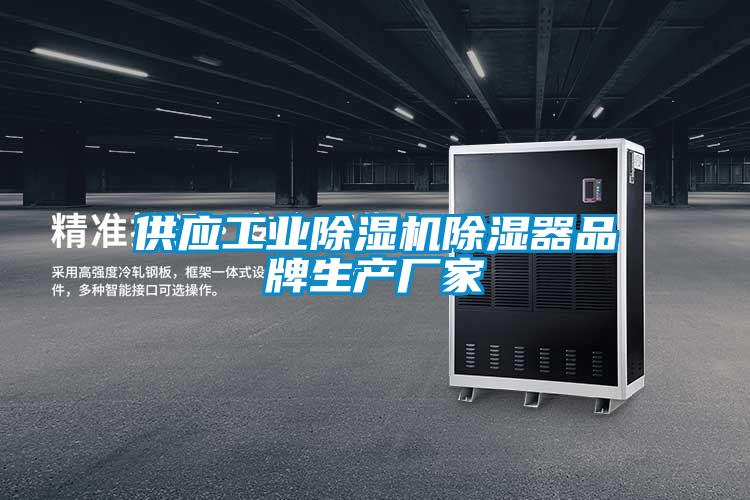 供应工业草莓视频APP在线观看除湿器品牌生产厂家