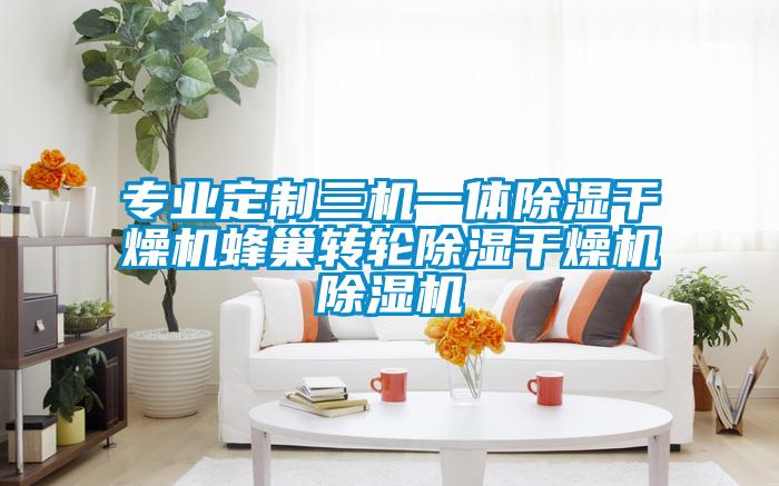 专业定制三机一体除湿干燥机蜂巢转轮除湿干燥机草莓视频APP在线观看