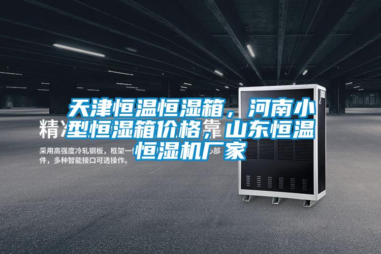 天津恒温恒湿箱，河南小型恒湿箱价格，山东恒温恒湿机厂家