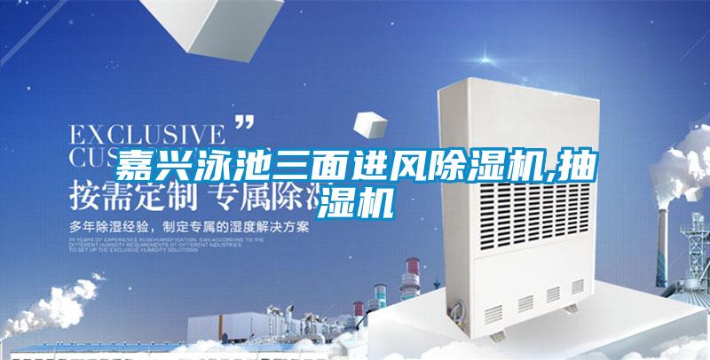 嘉兴泳池三面进风草莓视频APP在线观看,抽湿机