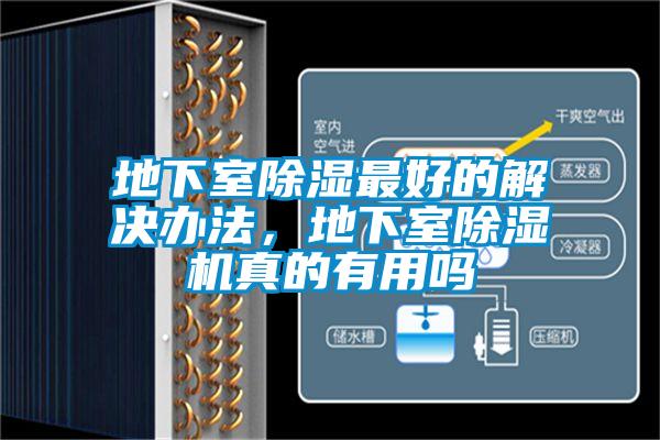 地下室除湿最好的解决办法，地下室草莓视频APP在线观看真的有用吗